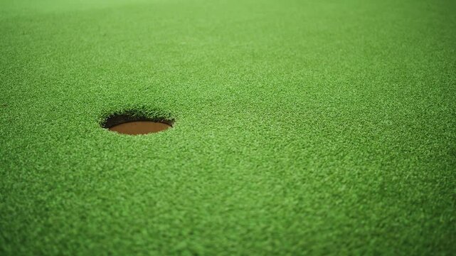 Golf ball rolling toward hole on green turf in wide frame slow motion