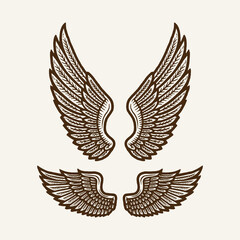 Obraz premium Vintage Angel Wings Vector, Hand Drawn Feather Wing Illustration