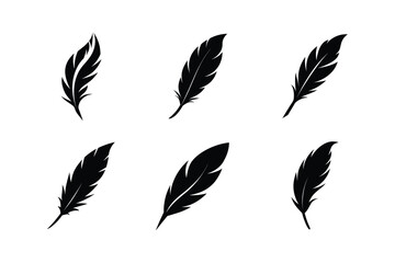 Bird feather silhouette  vector bundle  illustration, Set of bird feather silhouette 