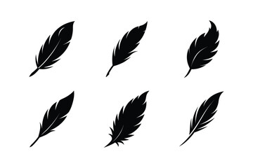 Bird feather silhouette  vector bundle  illustration, Set of bird feather silhouette 