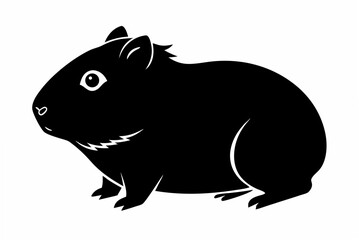 guineapig   silhouette  vector illustration