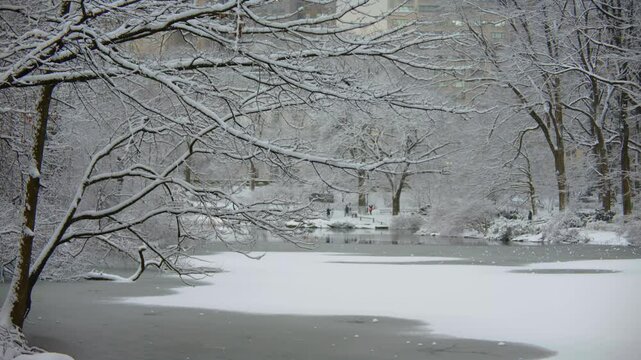 Footage shows the iconic Central Park in New York blanketed in snow, with icy paths, benches, and winter landscapes throughout.