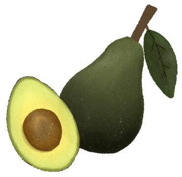 green avocado fruit with leaf clip art preview