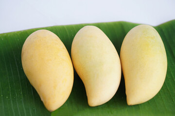 Three ripe Nam Dok Mai mangoes arranged neatly on fresh green banana leaves, showcasing the...