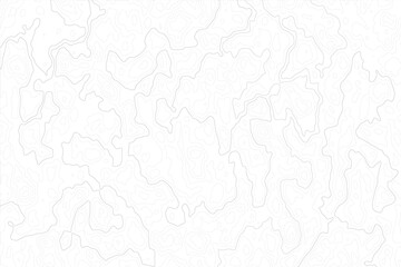 white background with abstract topographic grey contour lines creating a seamless pattern design A Perfect Fusion of Geometric Grid Lines, and Minimalist Design Elements