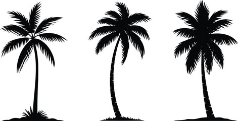 Obraz premium Three silhouettes of tropical palm trees