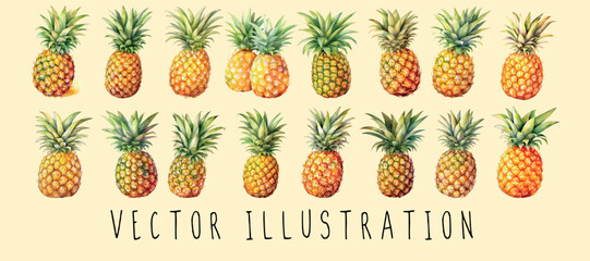 Juicy pineapple with green leaves illustration set collections. exotic tropical fruit vector illustrations