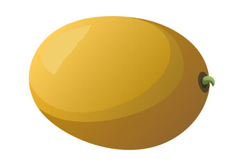 Single Golden Honeydew Melon with Stem Detail Isolated on a White Background