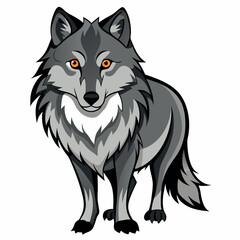 Fototapeta premium Vector illustration of a gray wolf