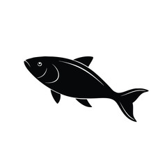 fish vector illustration