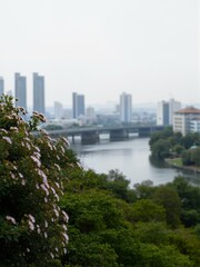 Obraz premium A blurry view of city buildings and bridge.