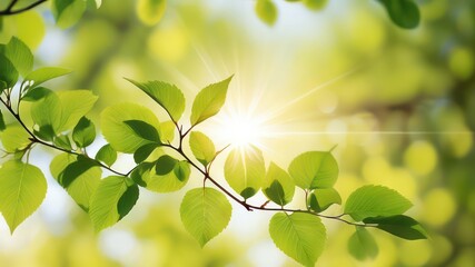 Vibrant Spring Branch Basking in Sunlight's Golden Rays