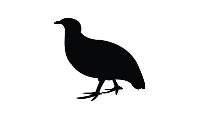Ahanta spurfowl bird Silhouette Design  And Vector Illustration. 