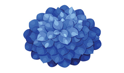 Isolated Deep Blue Echeveria Succulent Plant with Detailed Leaf Texture on White