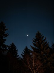 Fototapeta premium A crescent moon in night sky.