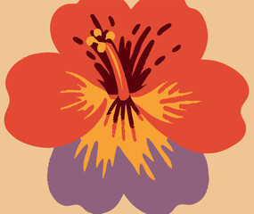 Red and Orange Hibiscus Flower Illustration