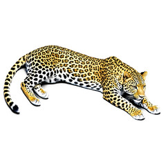 Fototapeta premium Sleek dolphin leaping upwards, showcasing graceful form against a dark, contrasting background.