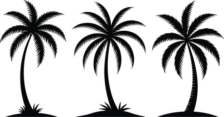 Three silhouettes of palm trees on white background