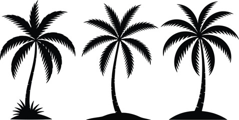 Three silhouettes of palm trees tropical paradise