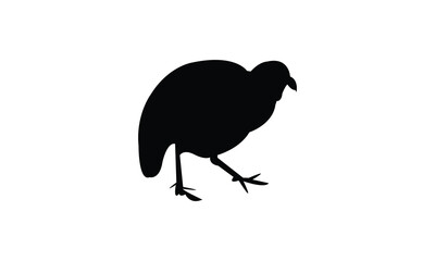 Ahanta spurfowl bird Silhouette Design  And Vector Illustration. 