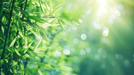 Naklejka premium A serene escape into a bamboo grove.