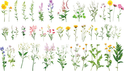 Watercolor floral collection with bouquet and spring vibe. Romantic flowers for wedding and poster art. Great for textiles, templates, and decoration needs.