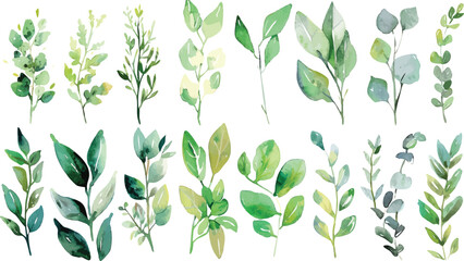 Floral watercolor collection with artistic charm. Use for romantic designs and wedding themes. Great for textiles, fabric, and greeting templates.