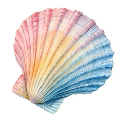 Fototapeta premium Watercolor Pastel Colored Seashell With Detailed Ridges isolated on transparent background