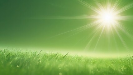 Fototapeta premium Serene landscape of vibrant green grass bathed in sunlight