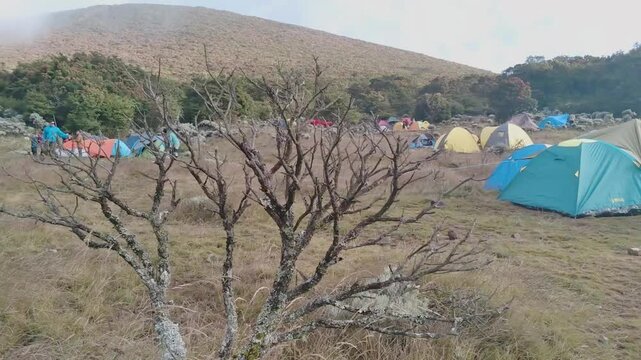 dry trees with views of campers and hills in a highland area