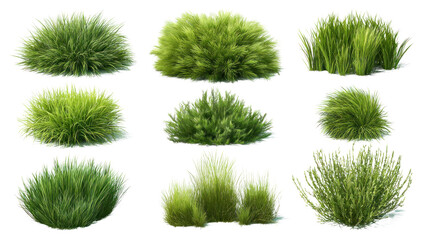 A stunning composition featuring a collection of meticulously captured green bushes, each showcasing unique textures and forms.