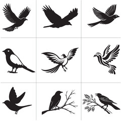 Bird Vector Design 