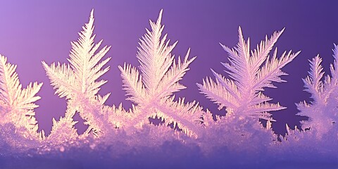 Stunning Close Up of Delicate Frost Crystals on a Purple Winter Background Beautiful Ice Patterns in Nature Winter Wonderland Scene