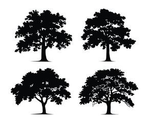 Oak Tree Vector Silhouette Isolated Illustration Set