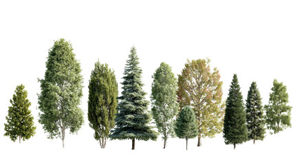 Diverse Forest Array: A collection of various tree species stands in a vibrant row, showcasing a beautiful array of natural arboreal life, isolated on transparent background