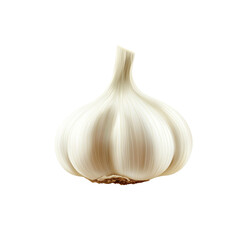 Single bulb of garlic, isolated on black background