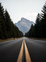 Fototapeta premium A road with lines in the middle and trees on both sides.