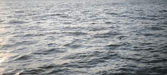 Water waves and evening light for background