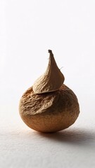 Dried Coconut Shell and Husk Still Life Photography