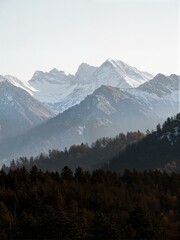A snow-covered mountain with evergreen trees in foreground.