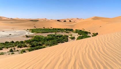 Illustration of Desert Transformation into a Green Oasis Through Human Efforts