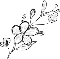 Elegant Hand Drawn Floral Branch with Delicate Flowers and Leaves