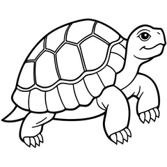 Tortoise Zen  Line Art Design