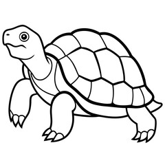 Tortoise Zen  Line Art Design