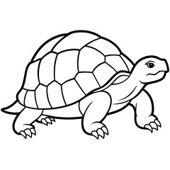 Tortoise Zen  Line Art Design