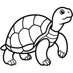 Tortoise Zen  Line Art Design