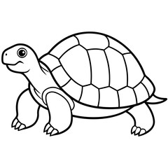 Tortoise Zen  Line Art Design
