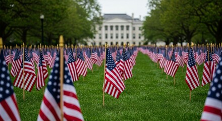 Homage to Valor: A Sea of American Flags Remembering Sacrifices on Grassy Field