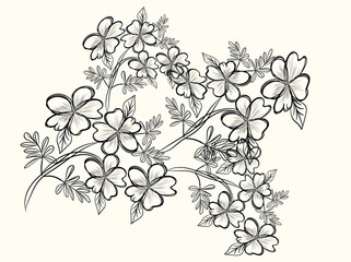 Elegant Black and White Hand Drawn Floral Branch Design