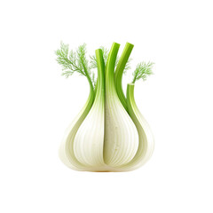 Fresh Fennel Bulb with Vibrant Green Fronds - Isolated on Black Background
